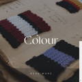 Alan Paine Colour