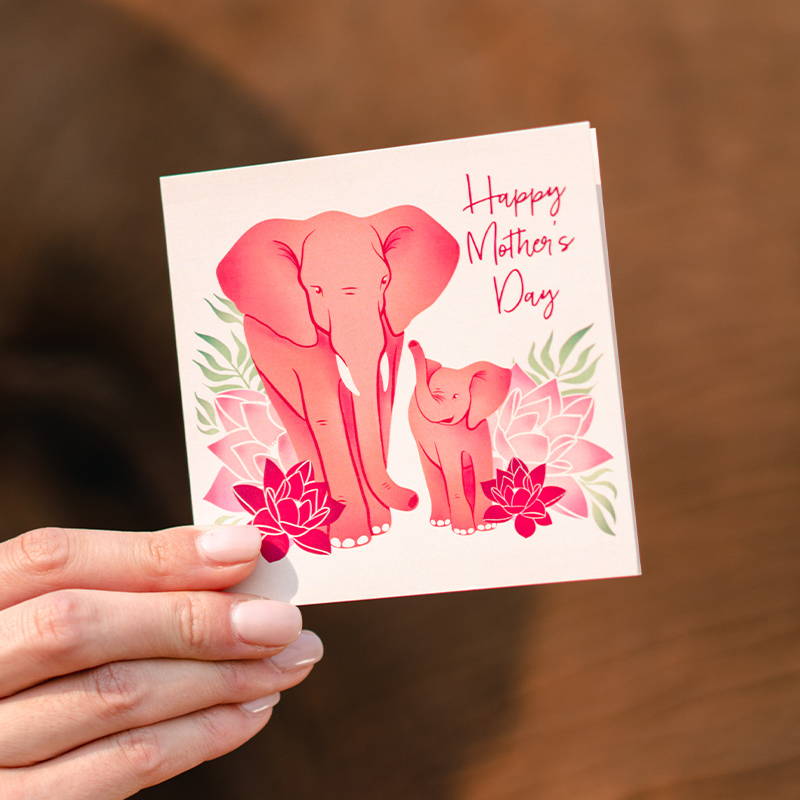 Mother's Day Card