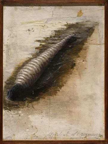 Artwork: Self-Portrait as Earthworm No. 2 (1985-1986), by Thierry De Cordier.