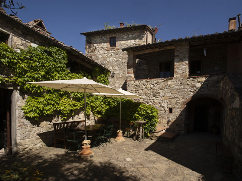 Tour enogastronomici Castellina in Chianti: Castellina in Chianti: vigneto, cantina e degustazione