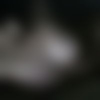 NOFANS PPV preview image