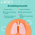 Breathing Sounds | The Milky Box