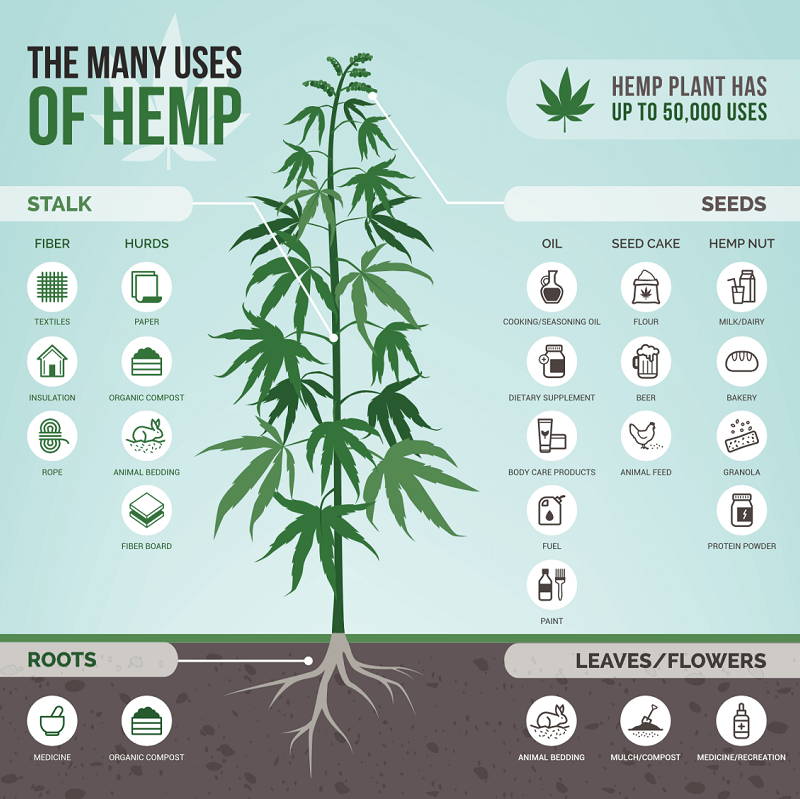 uses of industrial hemp