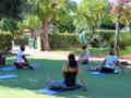Vier Personen beim Yoga auf Matten im Grünen, umgeben von Bäumen und Hecken.