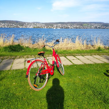 Citybike Damen RED CANDY mit Korb