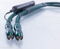 Audioquest Jaguar RCA Cables 36v DBS; 0.5m Pair Balance... 3