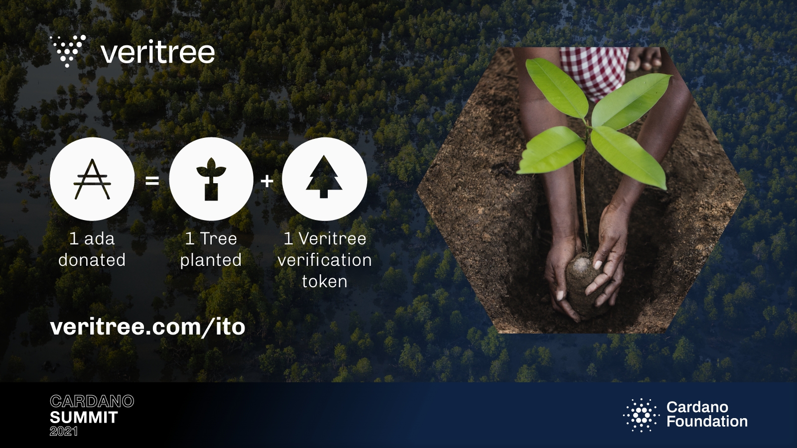 Veritree 1 ada donated equals 1 tree planted + 1 Veritree verification token