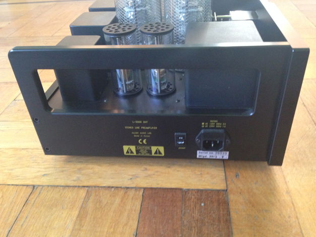 Allnic Audio L 5000 DHT incl. Kron KR3A tubes