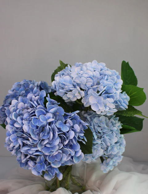 Blue Real Touch Hydrangeas Arranged in Water - Realistic Artificial Flowers - Image 5