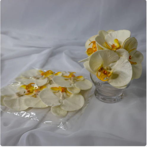 White and Yellow Phalaenopsis Flowerhead (6 Pack) - Realistic Artificial Flowers