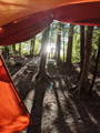 Sweet morning with Mount Trail sleeping bags and quilt on the International Appalachian Trail.