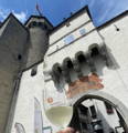 palmarès 2024 mondial du chasselas