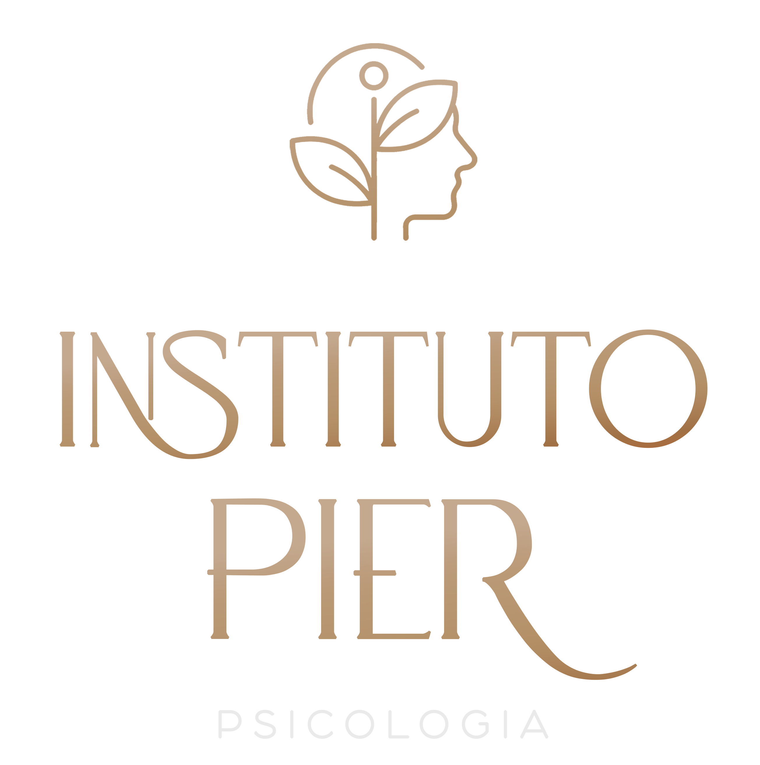 Instituto Pier