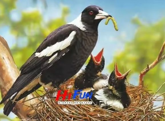 Magpie Diamond Art - Image 3