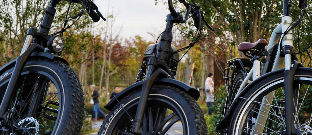 a row of various Hemiway ebikes