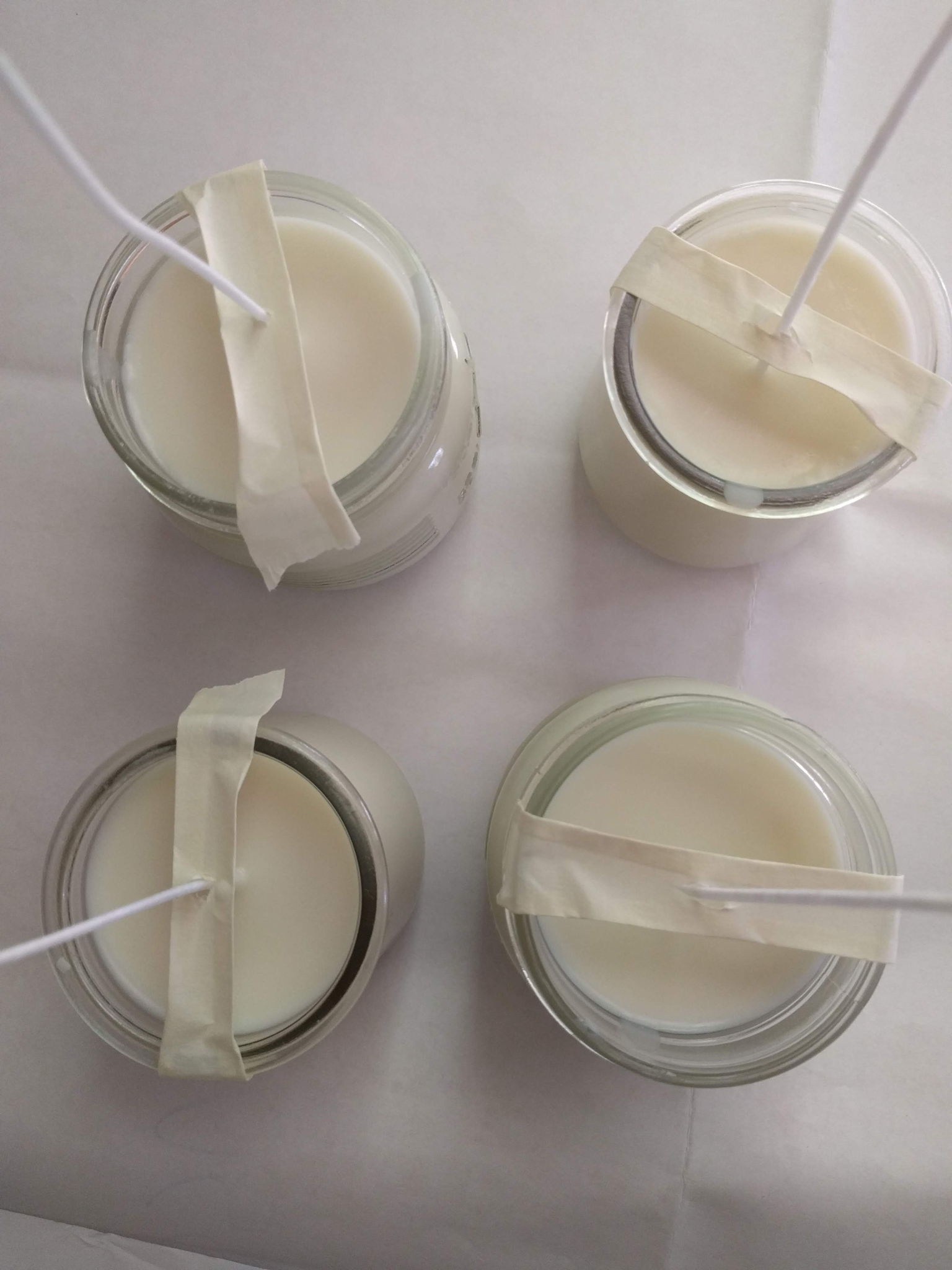 Bridgid Gallagher How To Make Natural Soy Wax Candles At Home