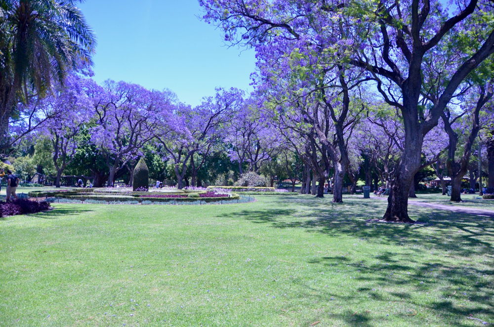 Hyde Park (HP 10)