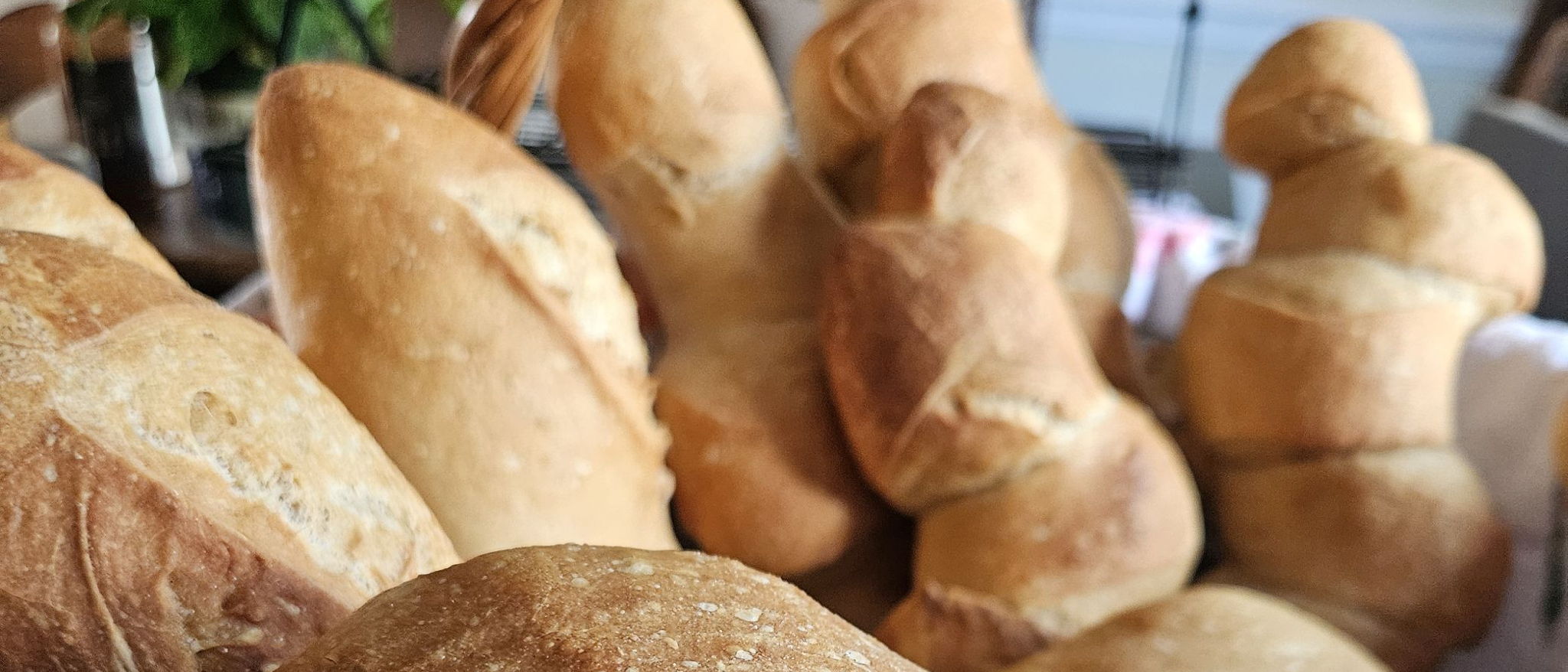 A Sourdough Micro Bakery by Taylor — photo from hotplate.com