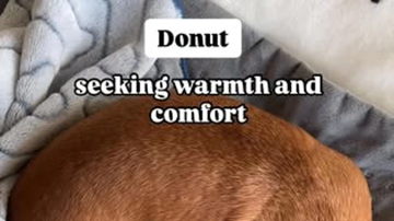 Main Content Image