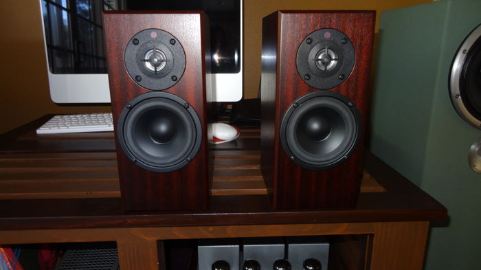 Totem Acoustic Dreamcatcher amazing speakers lightly used