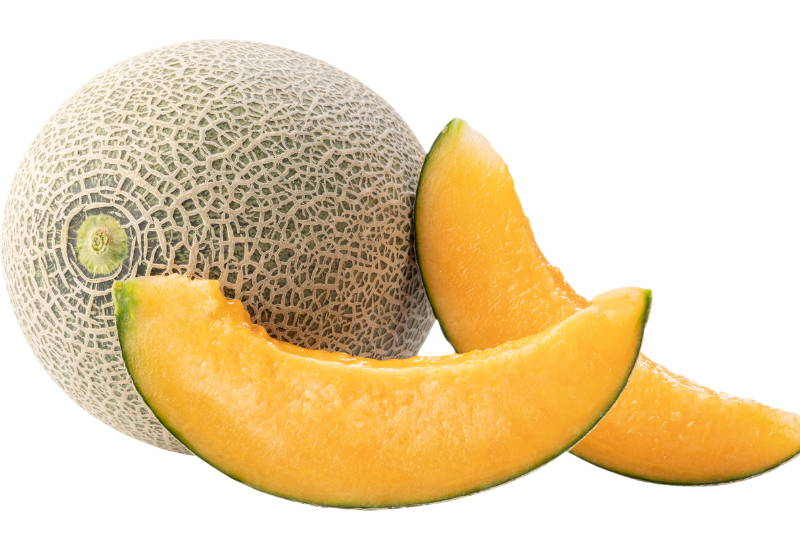 富良野メロン時期