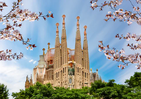 Sagrada Familia: Guided Tour with Skip-the-line Ticket