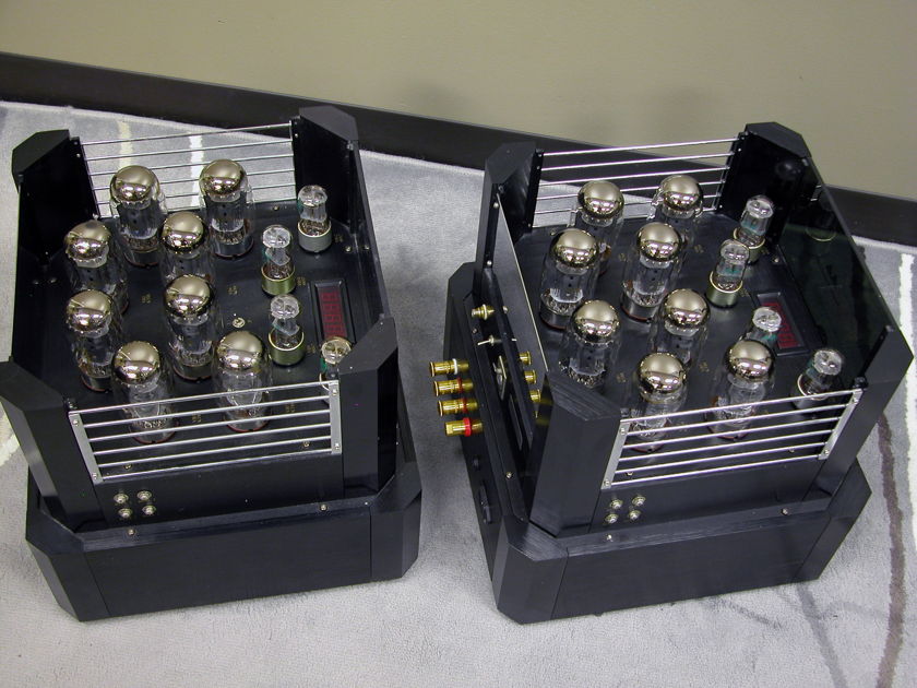 Antique Sound Labs Hurricane DT mkII Mono Amplifiers with Updated Modifications