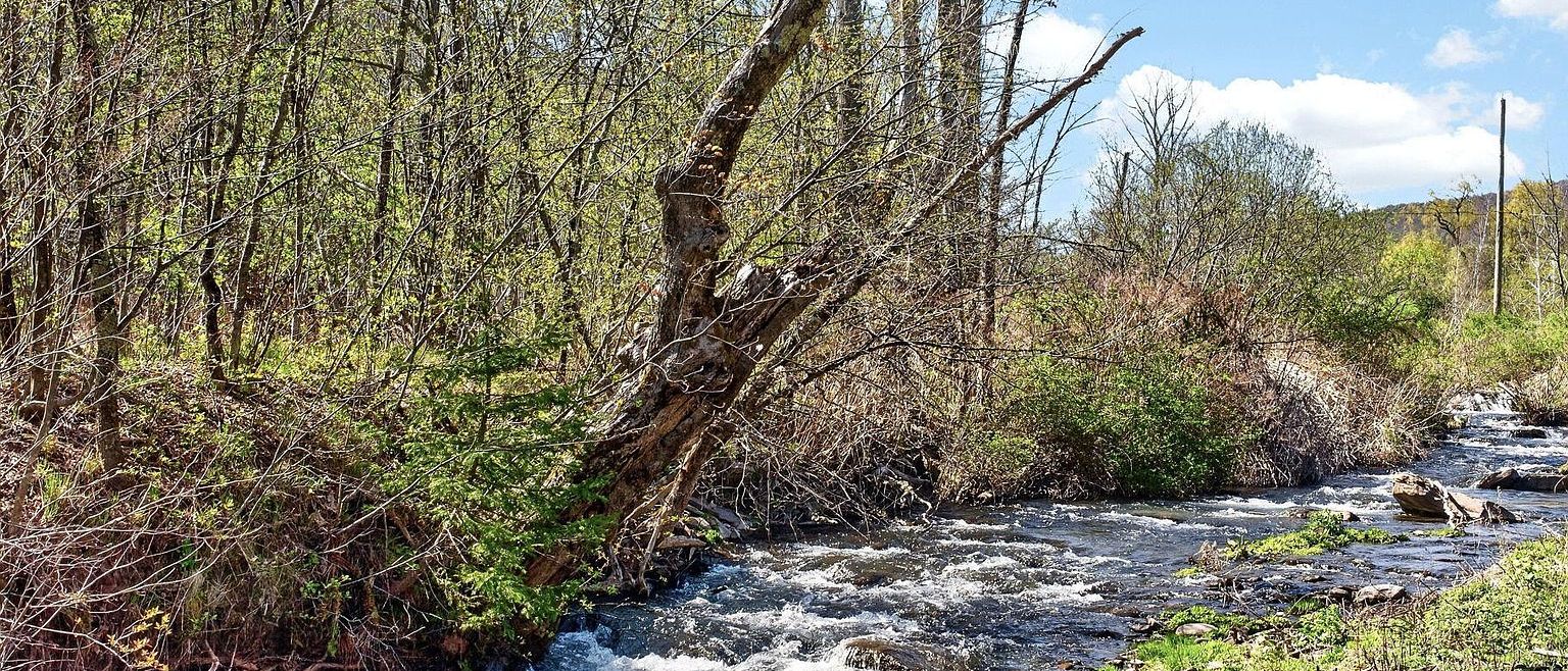 Slideshow image