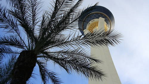 Skypod and Observation Deck