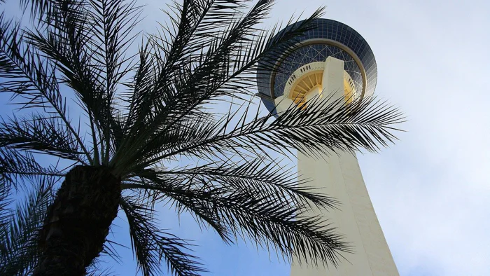 The STRAT Observation Deck