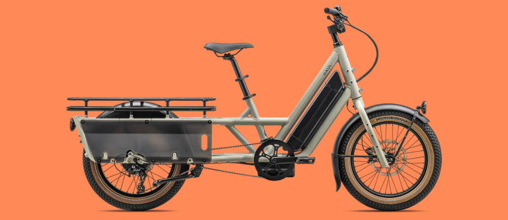 Specialized Haul Globe cargo electric bike