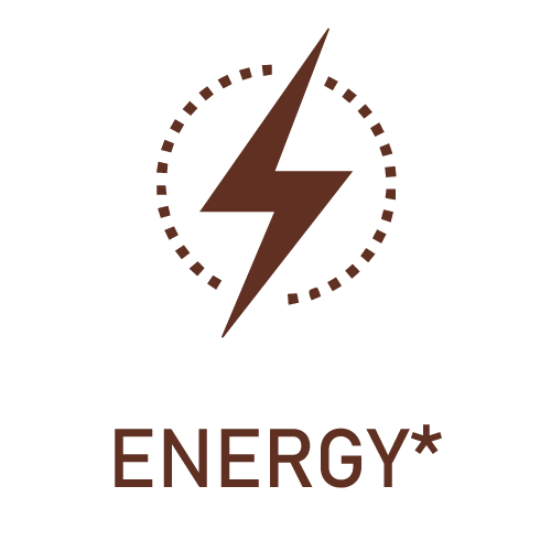 Icon-Energy