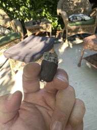 Cigar Session Photo