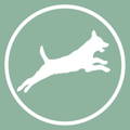 Icon mit agilem Hund