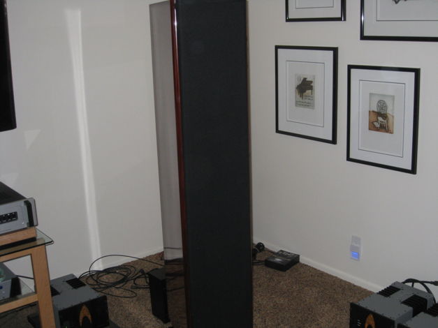 Sample photo of the Rosewood (this speaker has polish)
