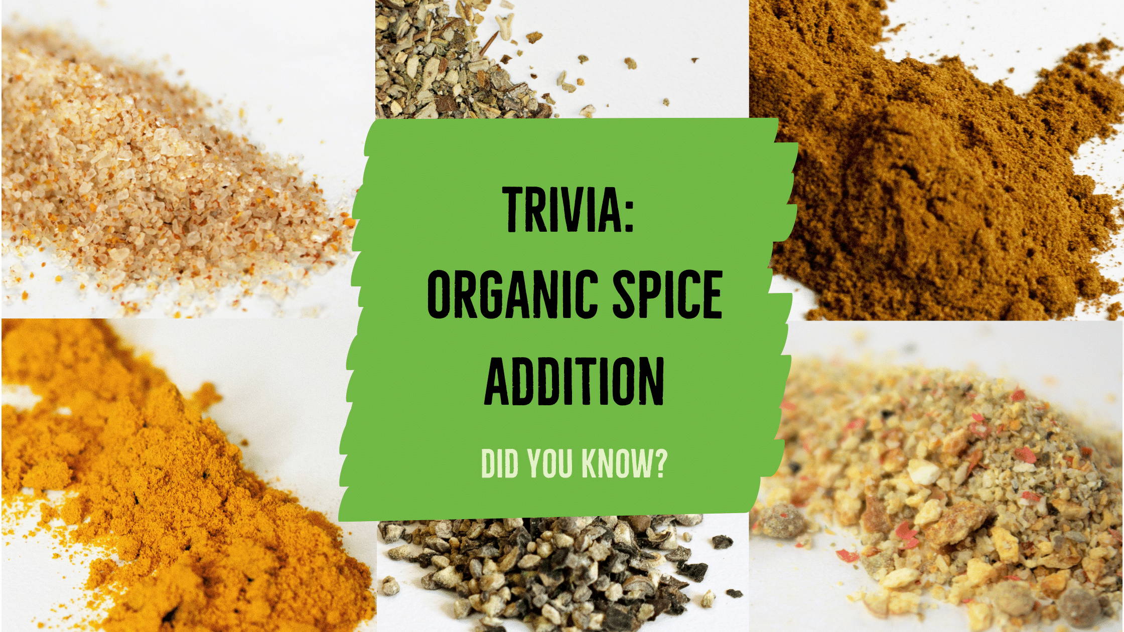 How Long Do Spices Last? And Other Spicy Questions