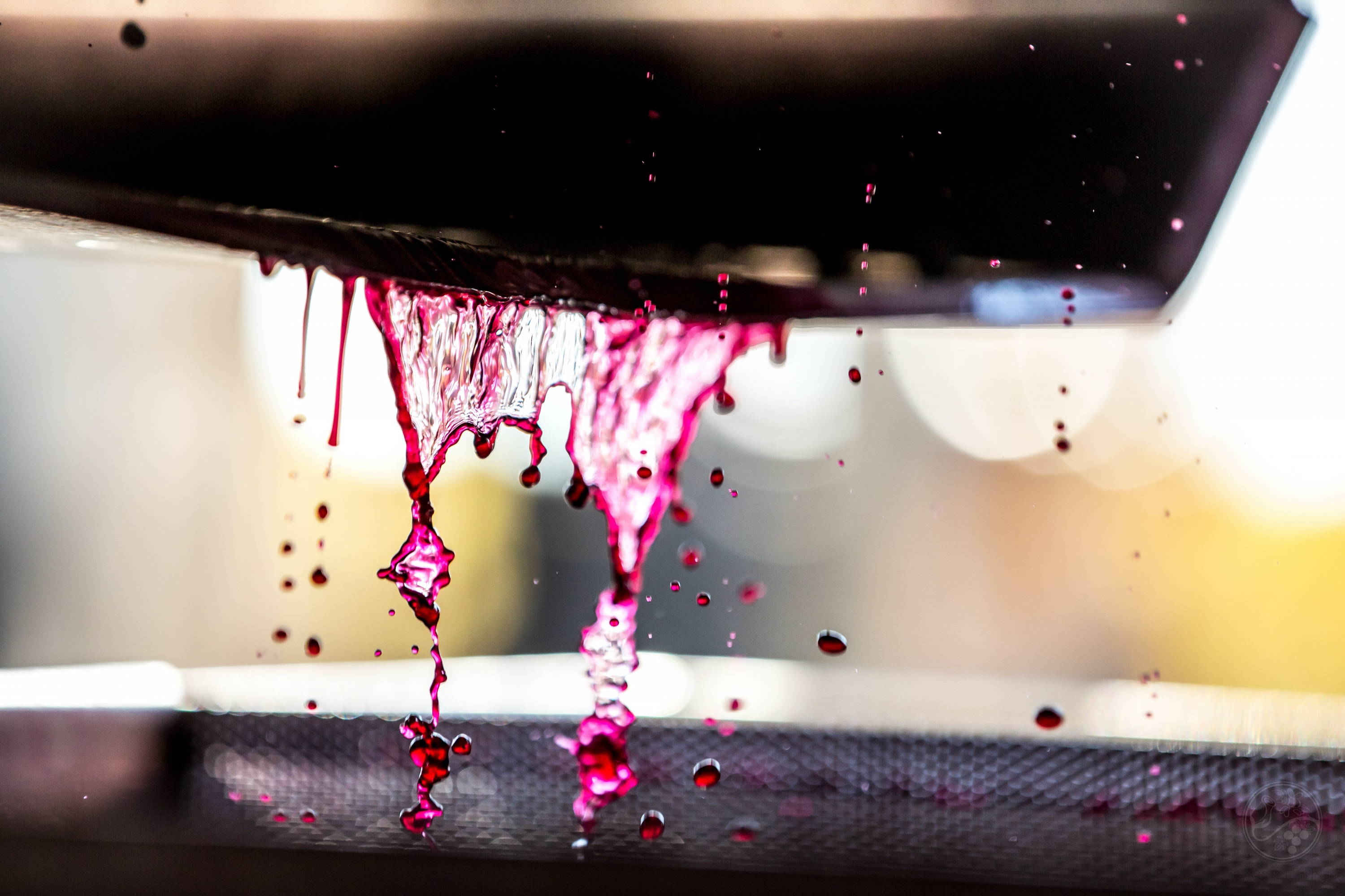 Zoomed in process of natural wine making displaying the difference between natural and organic wine.