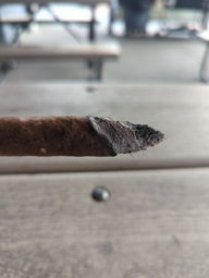 Cigar Session Photo