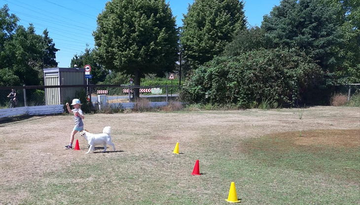 iris brosen kind mit hund am parcours