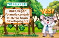Does vegan formula contain DHA for brain development?