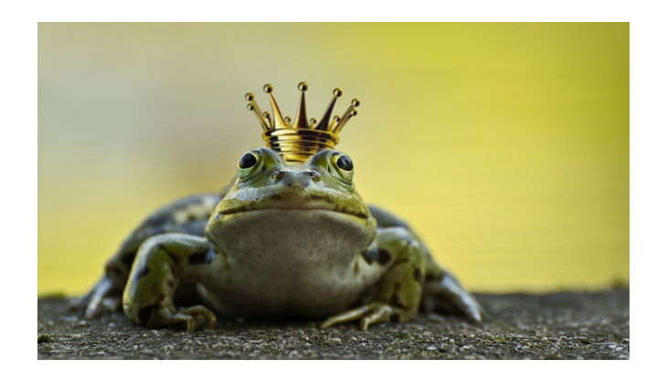 sdp märchengeburtstag froschkönig pb
