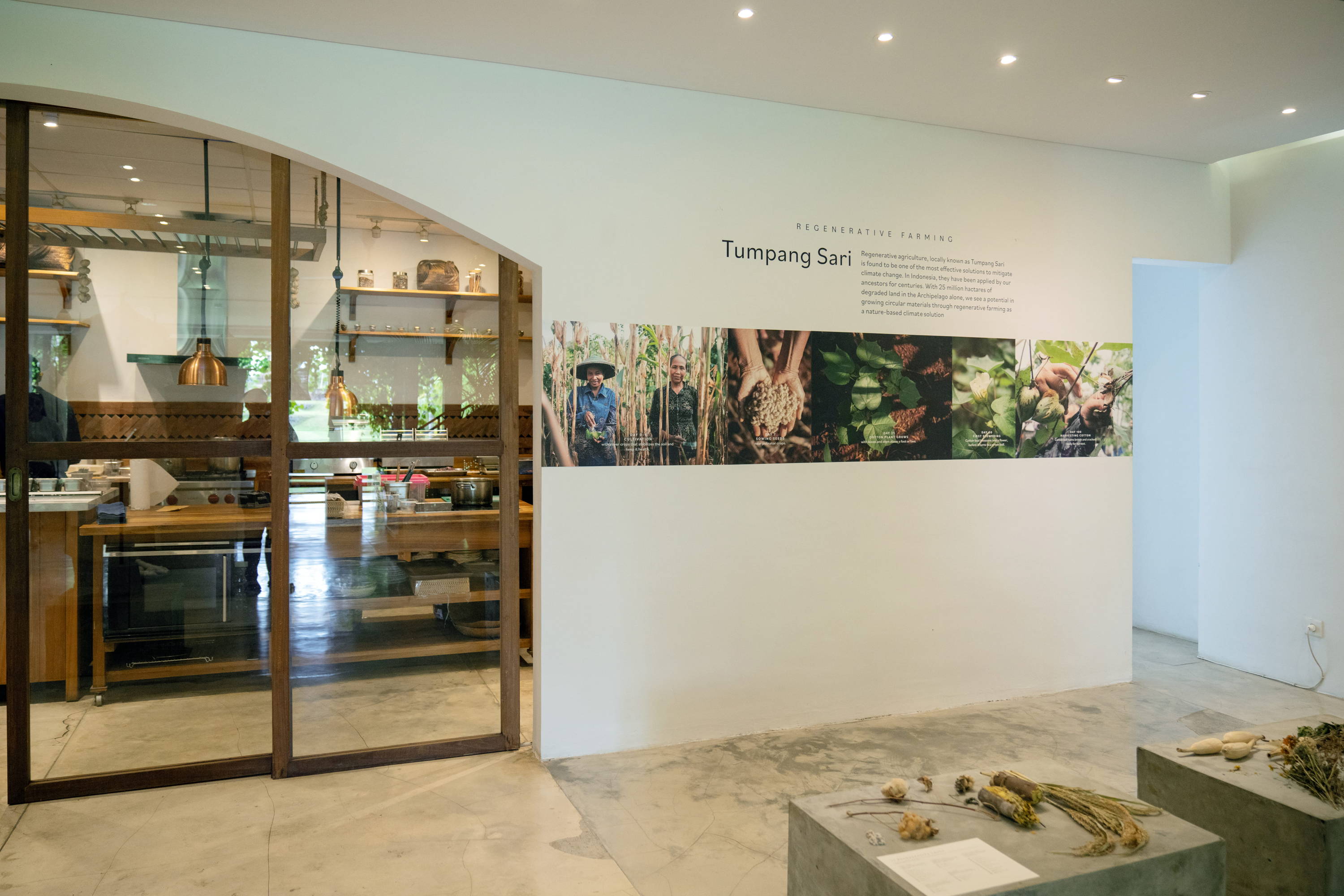 KAPAS Installation by SukkhaCitta in John Hardy Boutique & Gallery at Seminyak. Photographs of Indonesian indigenous cotton farmers are plastered on the wall. Text reads: Regenerative Farming. Tumpang Sari. Regenerative agriculture, locally known as Tumpang Sari is found to be one of the most effective solutions to mitigate climate change. In Indonesia, they have been applied by our ancestors for centuries. With 25 million hectares of degraded land in the Archipelago alone, we see a potential in growing circular materials through regenerative farming as a nature-based climate solution.