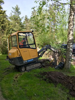 profile-11
