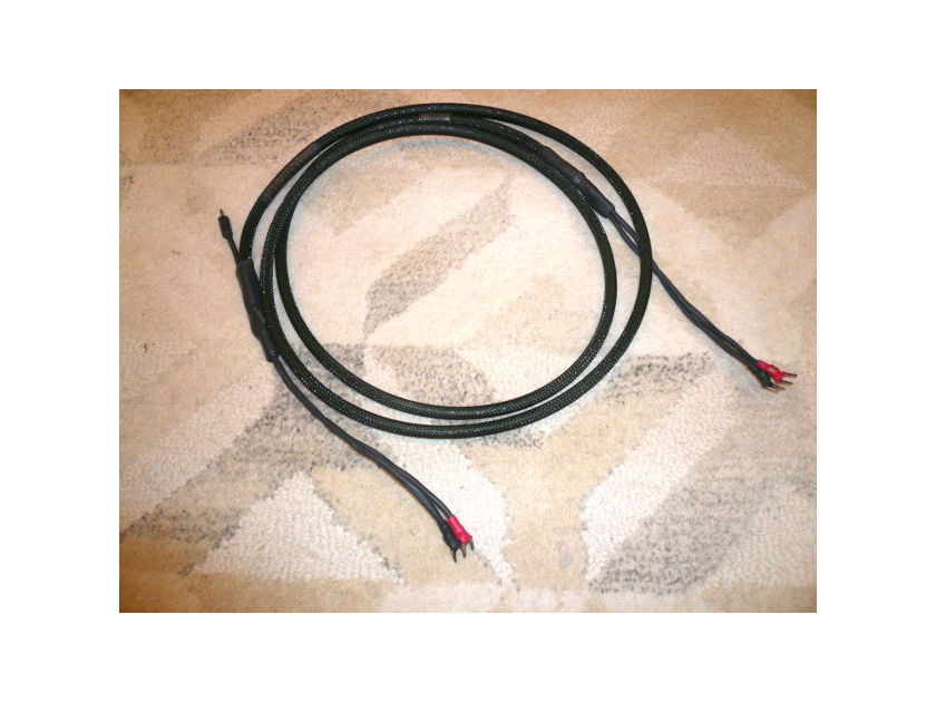 Synergistic Research Acoustic Reference 10 foot speaker cables