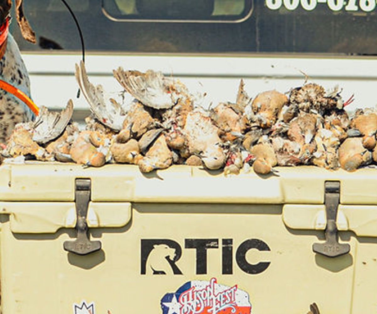 details-image