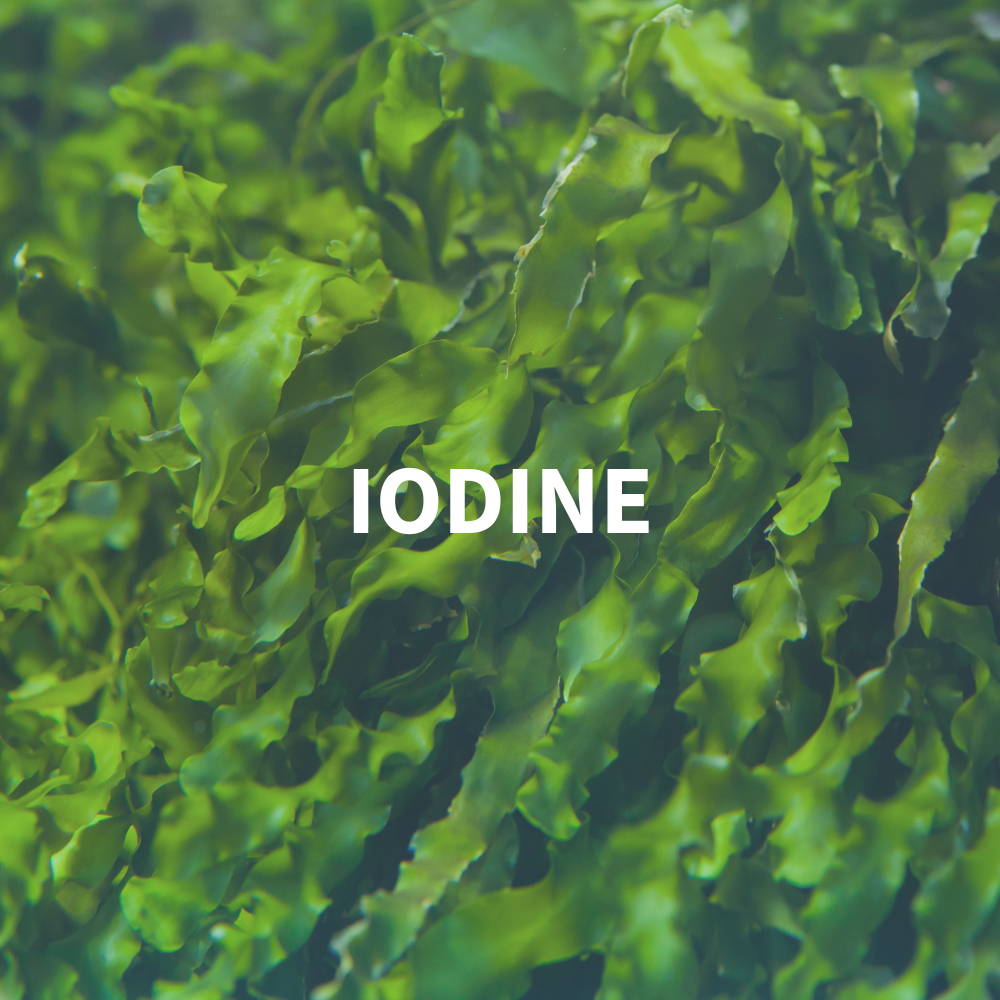 Iodine for brain development