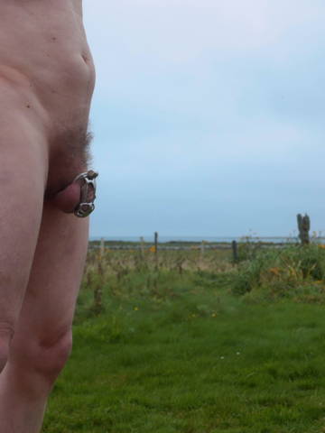Chastity device with urethral tube