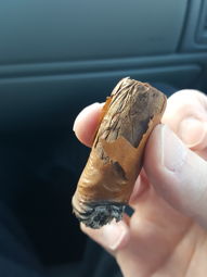 Cigar Session Photo