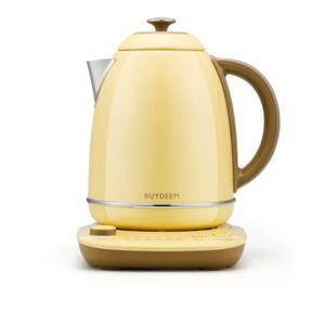 Electric Kettle with Temperature Control