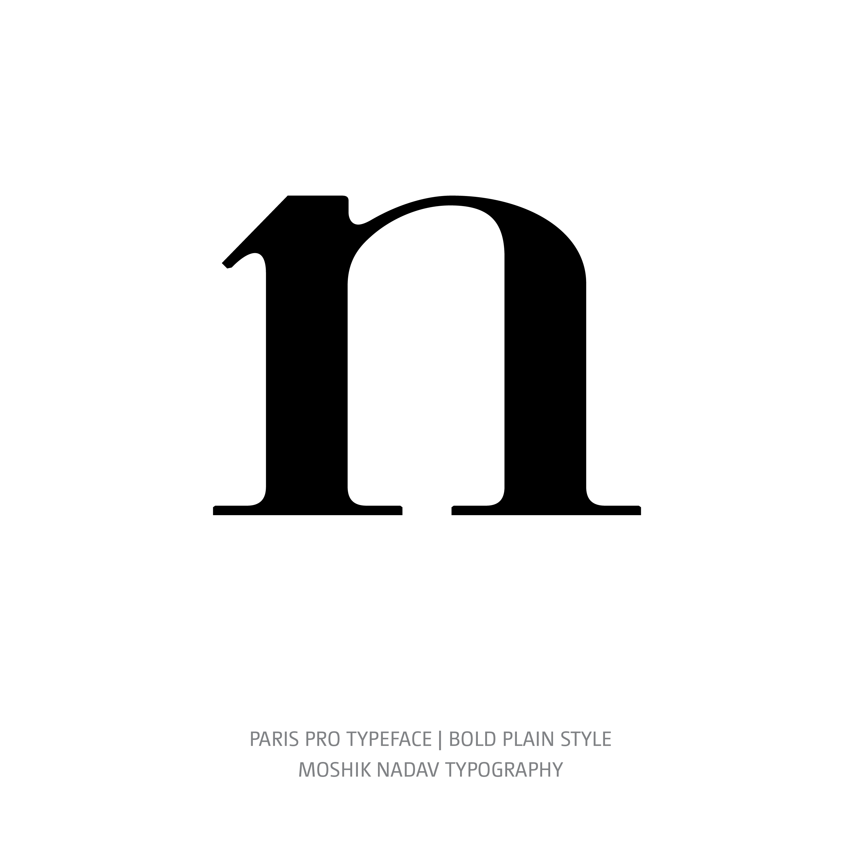Paris Pro Typeface Bold Plain n